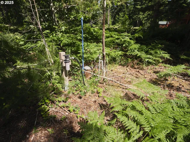 $175,000 | 3 Phyllis Ann Block Court, Cougar, WA 98616