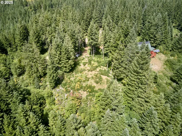 $175,000 | 3 Phyllis Ann Block Court, Cougar, WA 98616