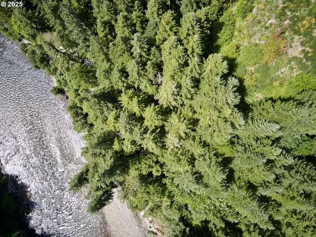 $175,000 | 3 Phyllis Ann Block Court, Cougar, WA 98616