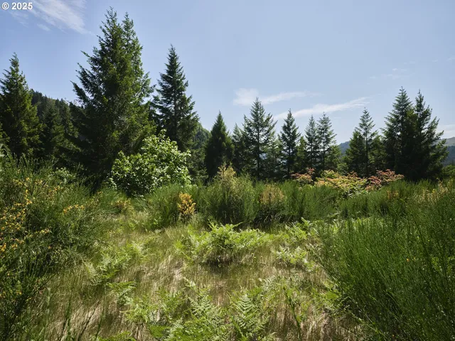 $175,000 | 3 Phyllis Ann Block Court, Cougar, WA 98616