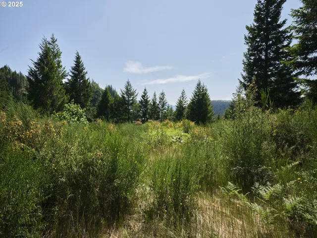 $175,000 | 3 Phyllis Ann Block Court, Cougar, WA 98616