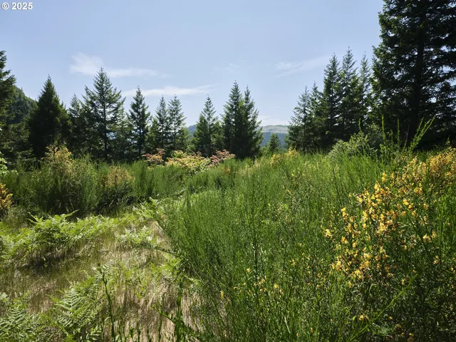 $175,000 | 3 Phyllis Ann Block Court, Cougar, WA 98616