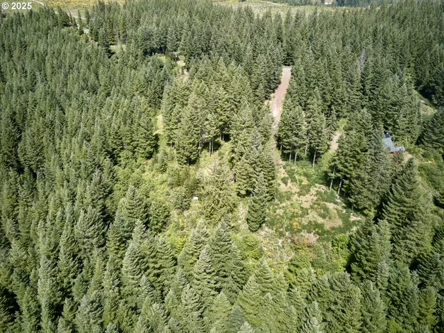 $175,000 | 3 Phyllis Ann Block Court, Cougar, WA 98616