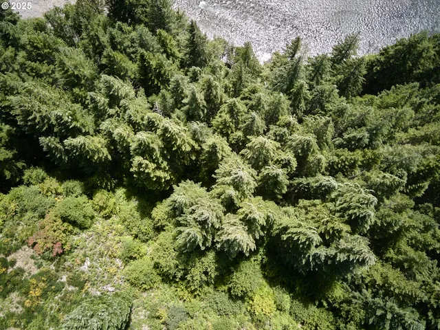 $175,000 | 3 Phyllis Ann Block Court, Cougar, WA 98616