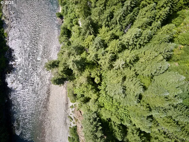 $175,000 | 3 Phyllis Ann Block Court, Cougar, WA 98616