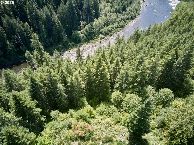 $175,000 | 3 Phyllis Ann Block Court, Cougar, WA 98616