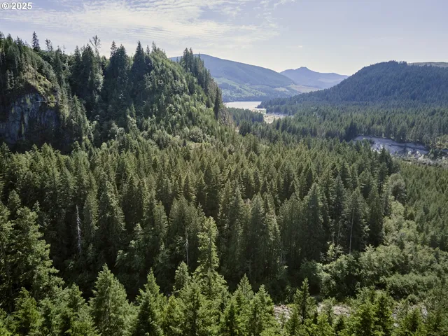 $175,000 | 3 Phyllis Ann Block Court, Cougar, WA 98616