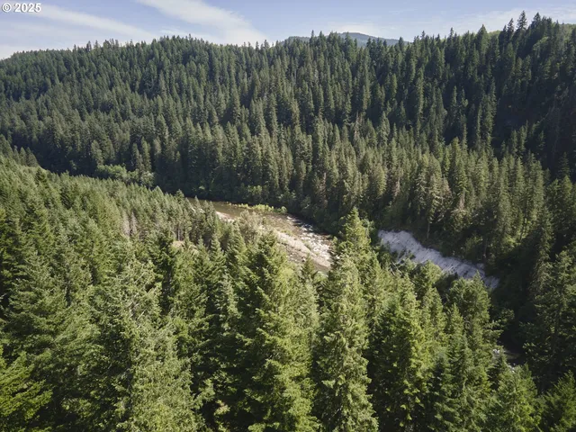 $175,000 | 3 Phyllis Ann Block Court, Cougar, WA 98616