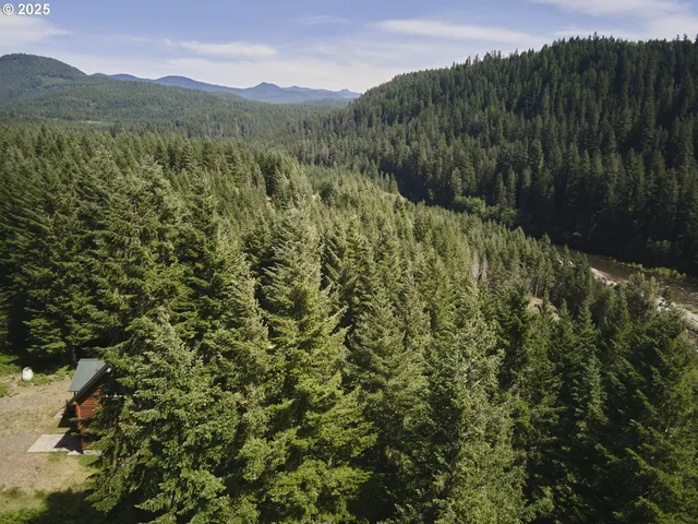 $175,000 | 3 Phyllis Ann Block Court, Cougar, WA 98616