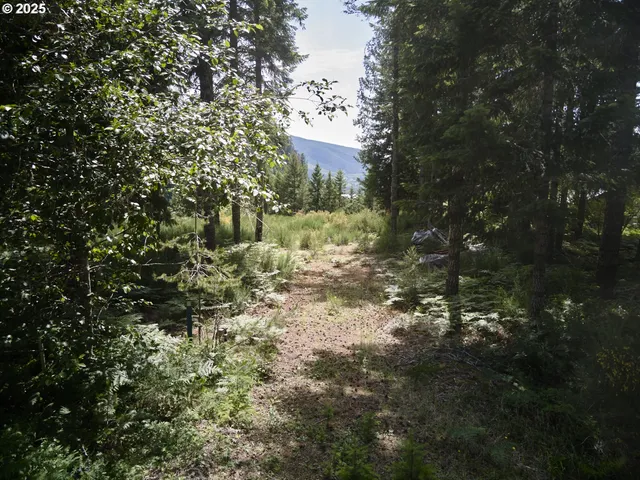 $175,000 | 3 Phyllis Ann Block Court, Cougar, WA 98616