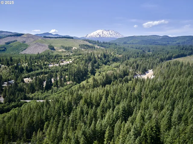 $175,000 | 3 Phyllis Ann Block Court, Cougar, WA 98616