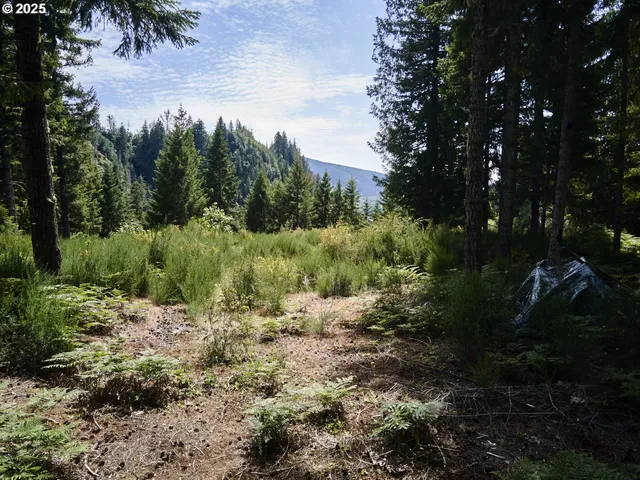 $175,000 | 3 Phyllis Ann Block Court, Cougar, WA 98616