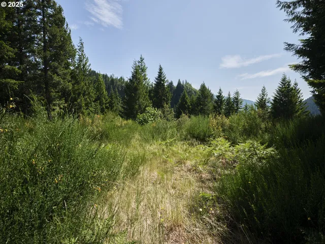 $175,000 | 3 Phyllis Ann Block Court, Cougar, WA 98616