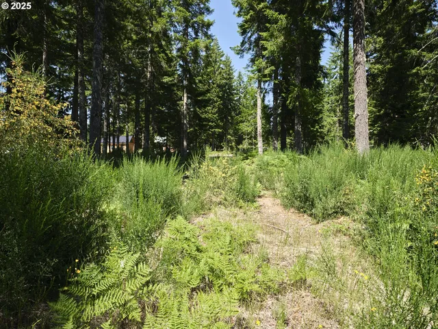 $175,000 | 3 Phyllis Ann Block Court, Cougar, WA 98616