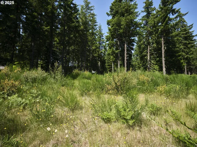 $175,000 | 3 Phyllis Ann Block Court, Cougar, WA 98616