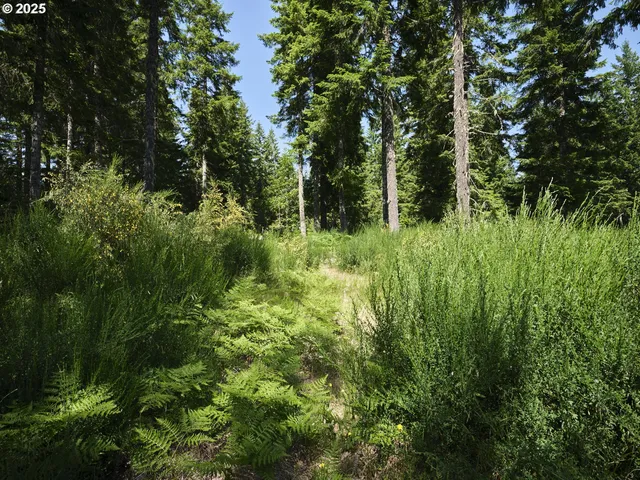 $175,000 | 3 Phyllis Ann Block Court, Cougar, WA 98616