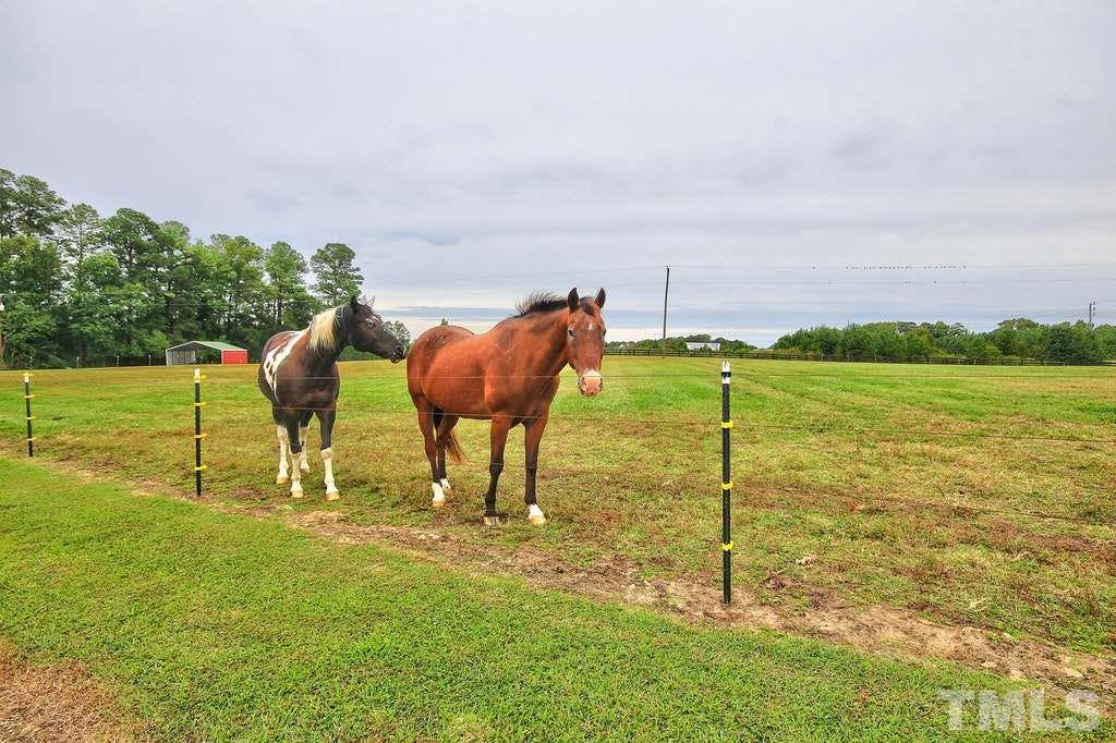 6484 Cornwallis Road Garner, NC 27529 - Photo 20 of 25 Gallery Image 20