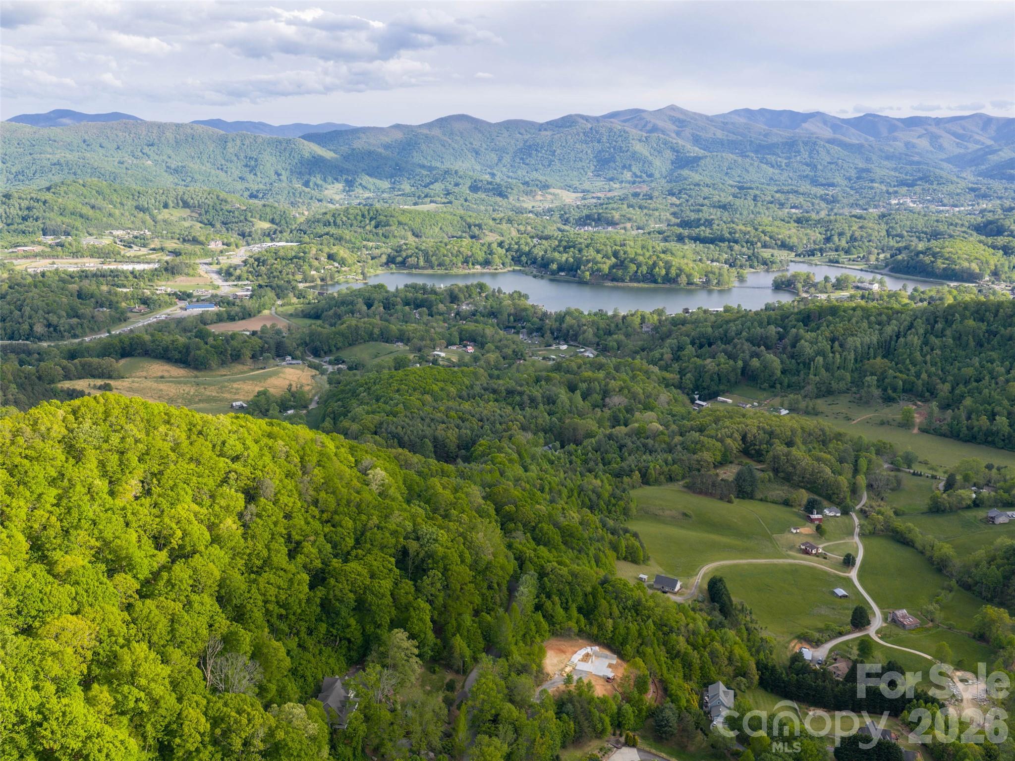 Lot 13 Breckenridge Road Waynesville, NC 28785 - Photo 12 of 13 a view of a lush green hillside and houses