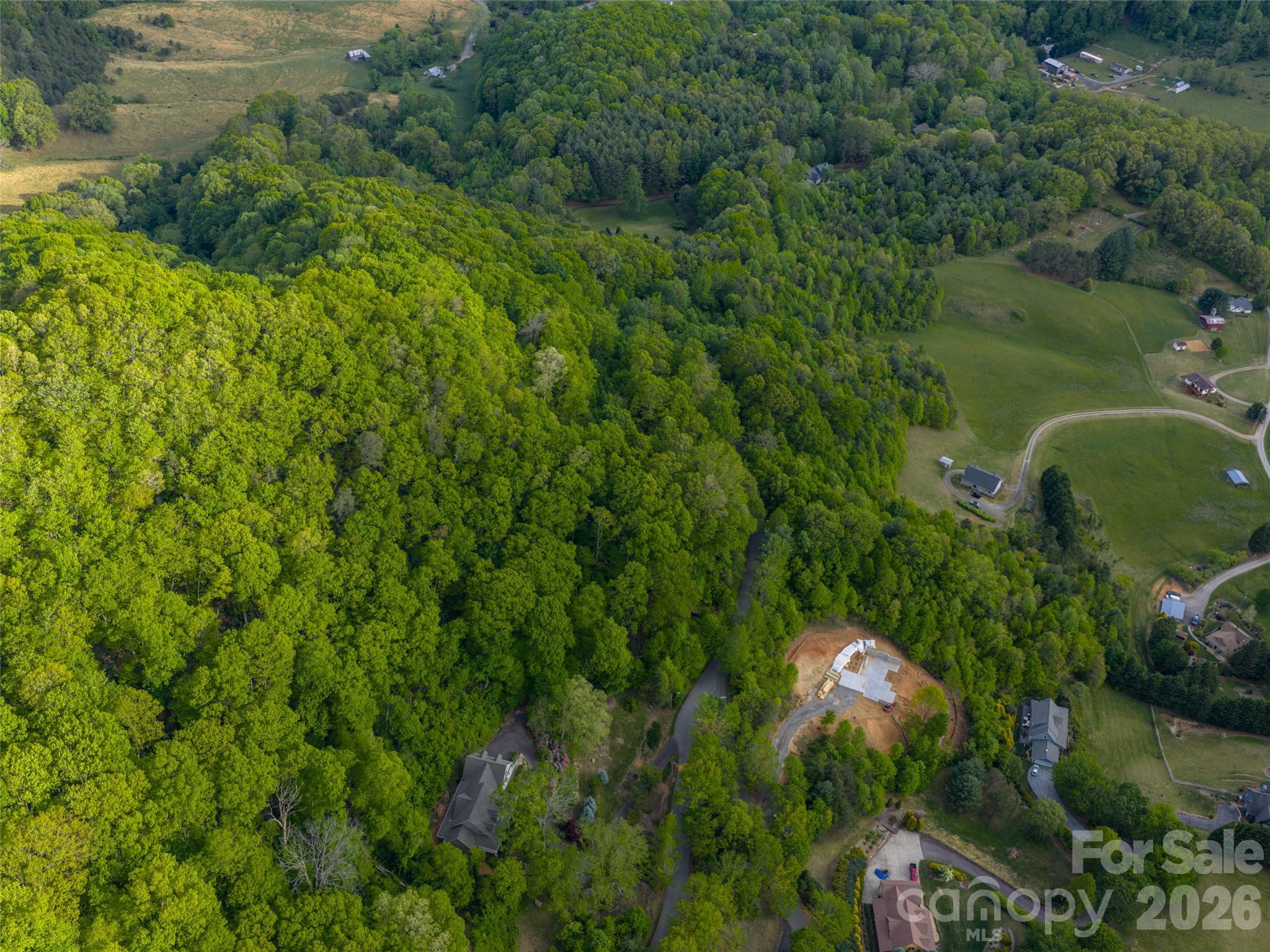 Lot 13 Breckenridge Road Waynesville, NC 28785 - Photo 13 of 13 a view of a garden