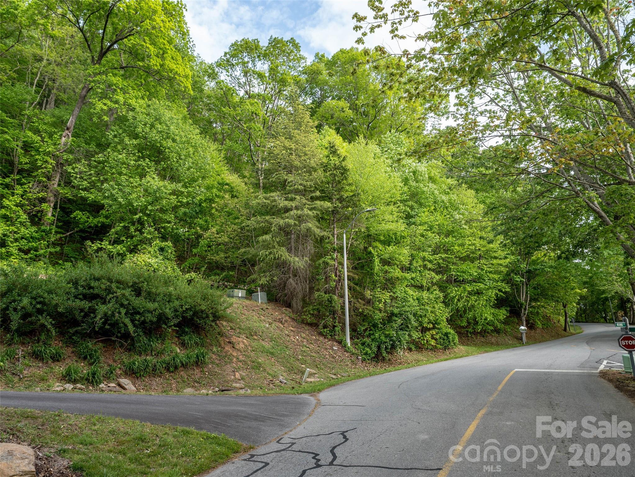 Lot 13 Breckenridge Road Waynesville, NC 28785 - Photo 4 of 13 a view of a yard