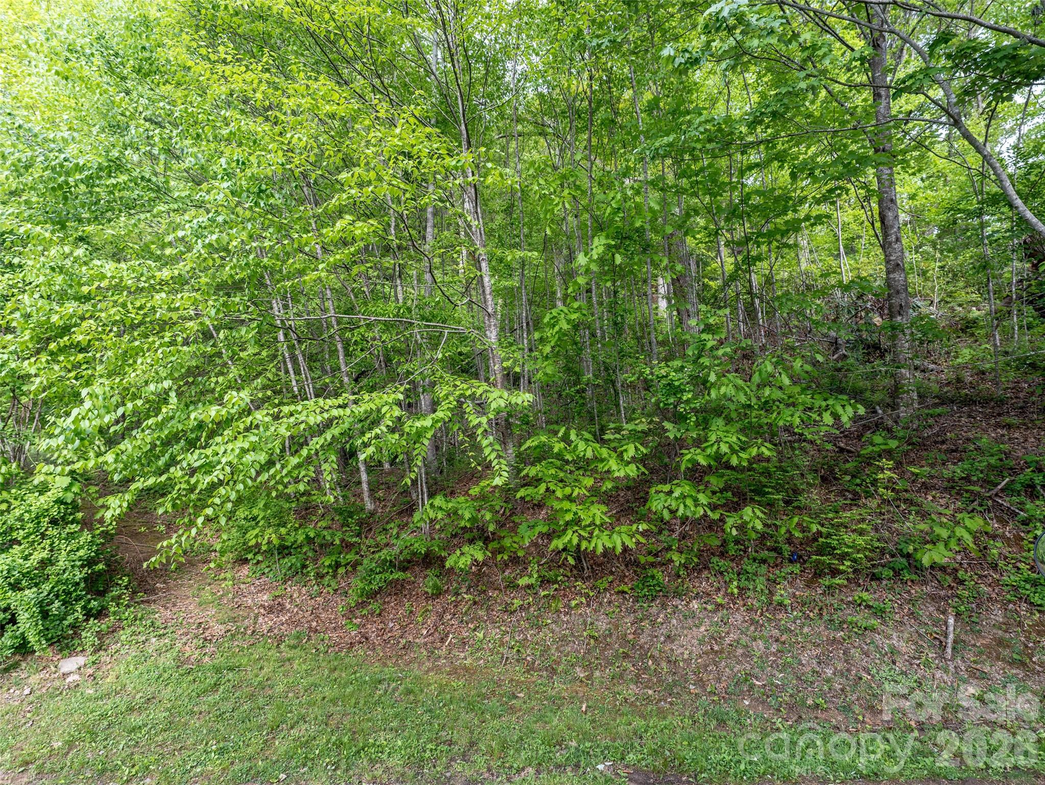 Lot 13 Breckenridge Road Waynesville, NC 28785 - Photo 5 of 13 a view of a garden