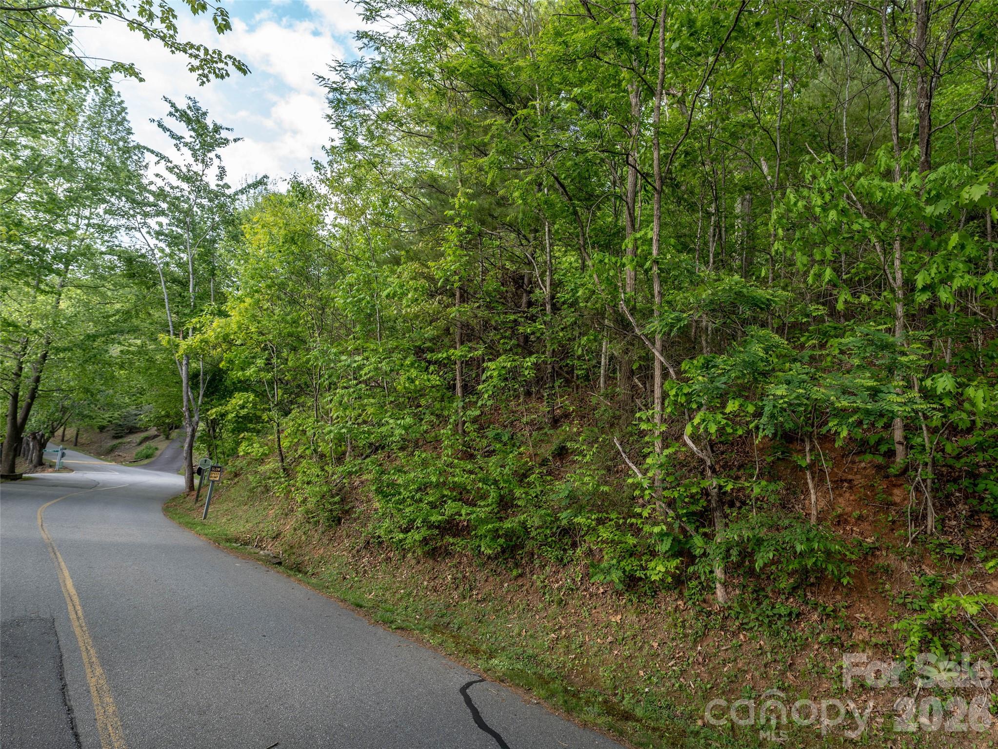 Lot 13 Breckenridge Road Waynesville, NC 28785 - Photo 8 of 13