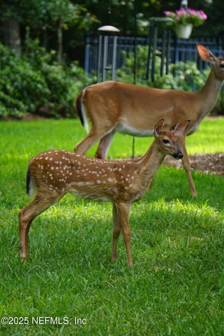 $790,000 | 7757 Burnt Oak Trail, Jacksonville, FL 32256