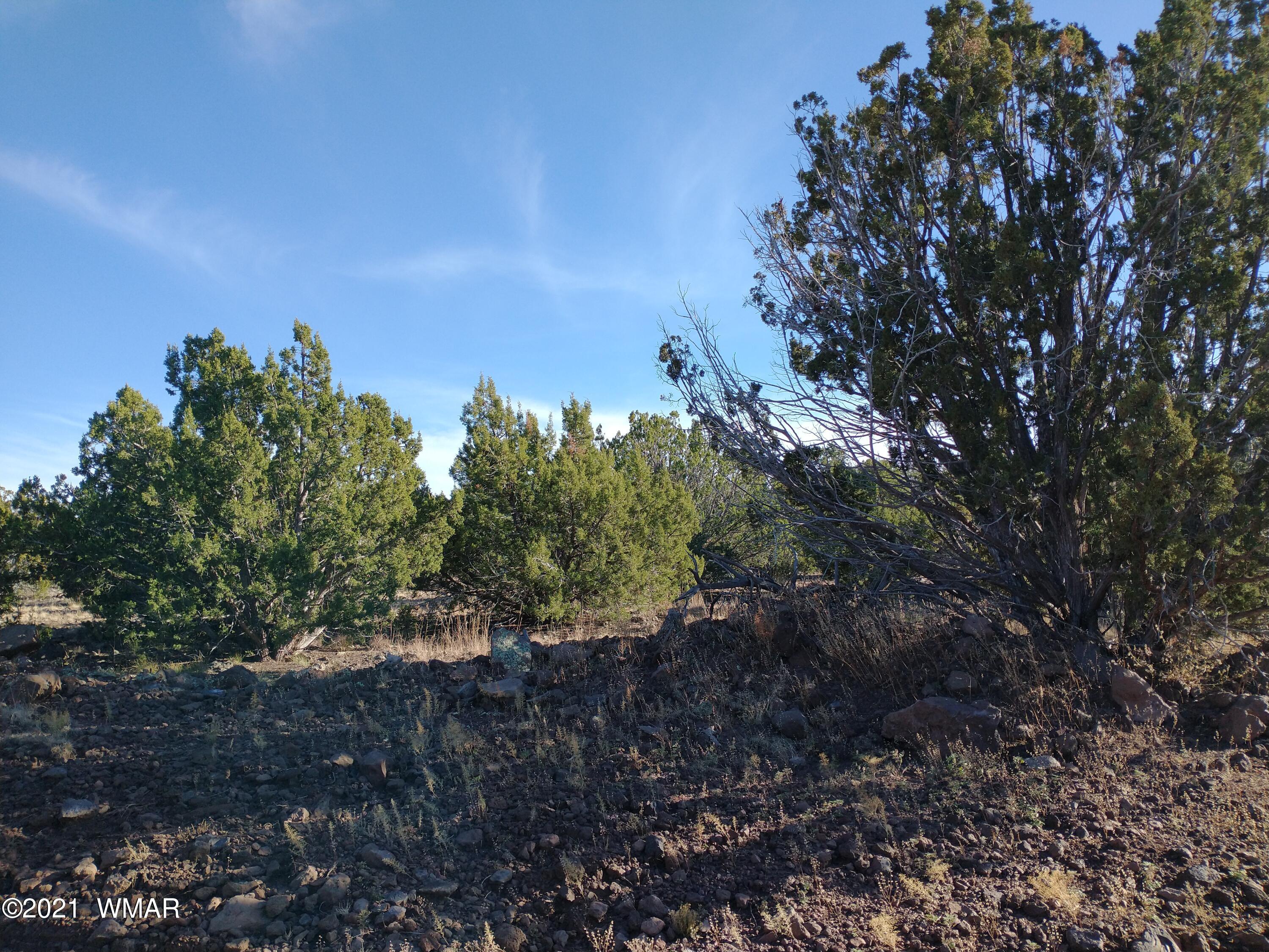 3145 Stray Horse Road Vernon, AZ 85940 - Photo 11 of 23