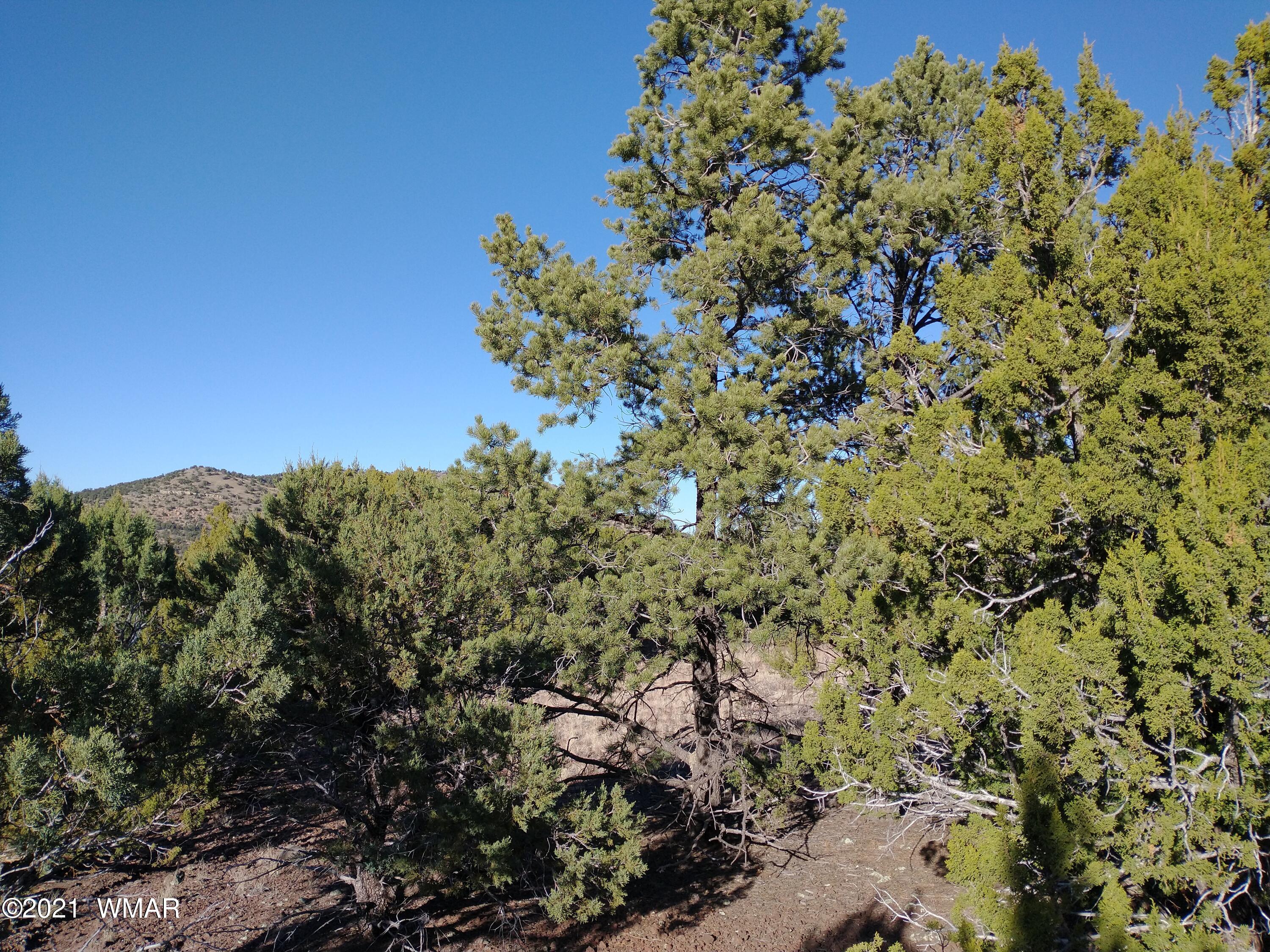 3145 Stray Horse Road Vernon, AZ 85940 - Photo 13 of 23