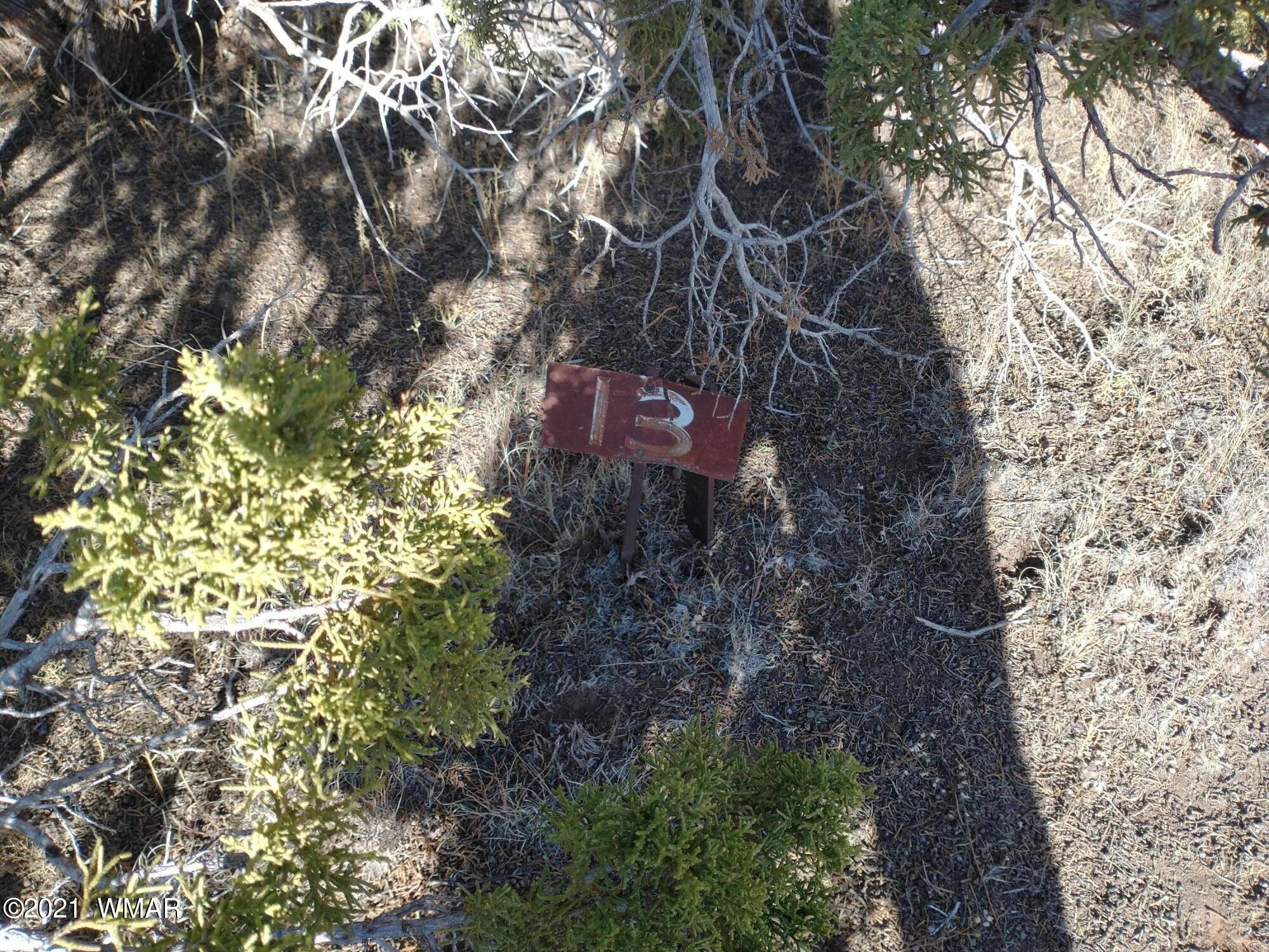 3145 Stray Horse Road Vernon, AZ 85940 - Photo 14 of 23
