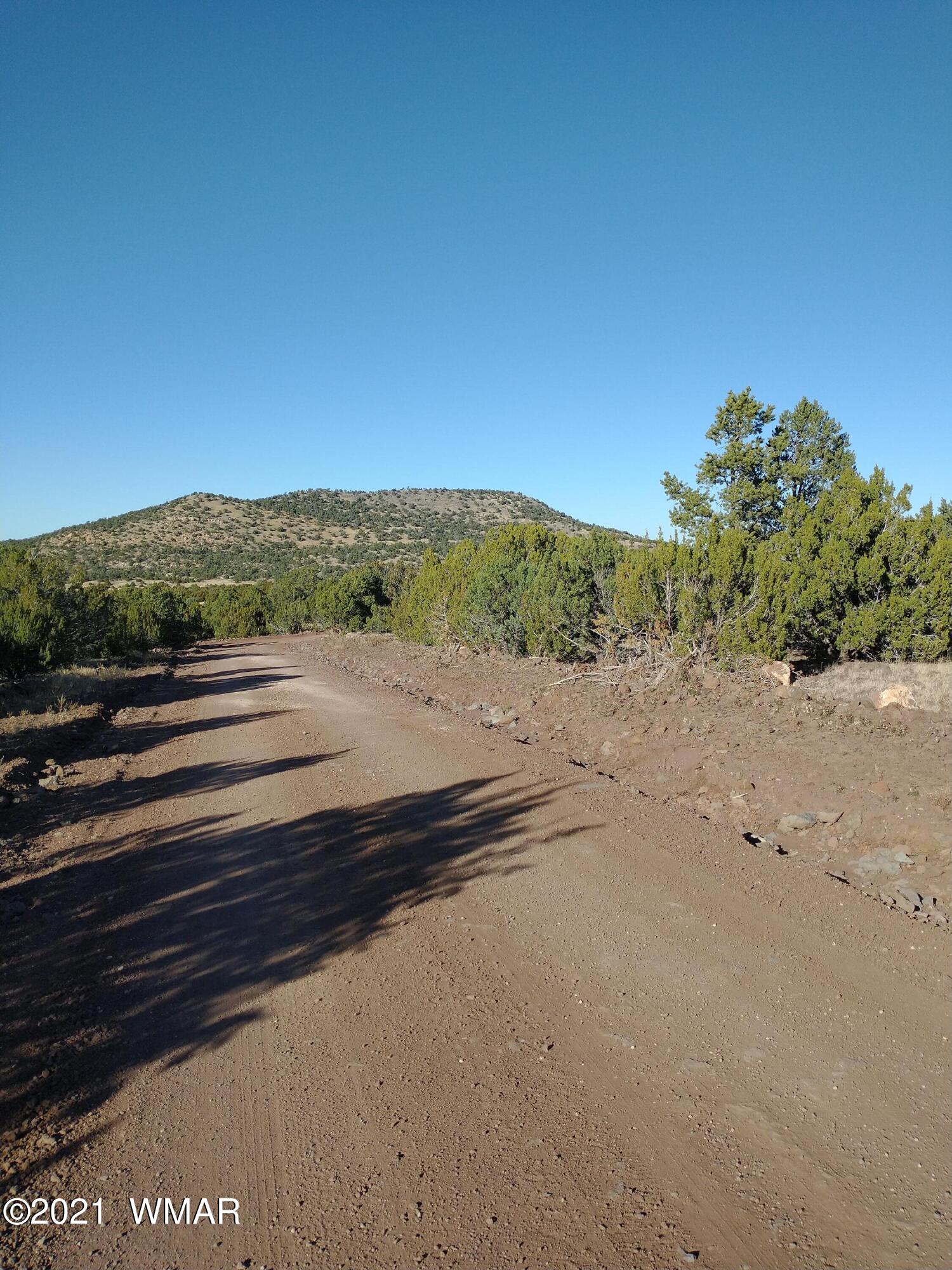 3145 Stray Horse Road Vernon, AZ 85940 - Photo 18 of 23
