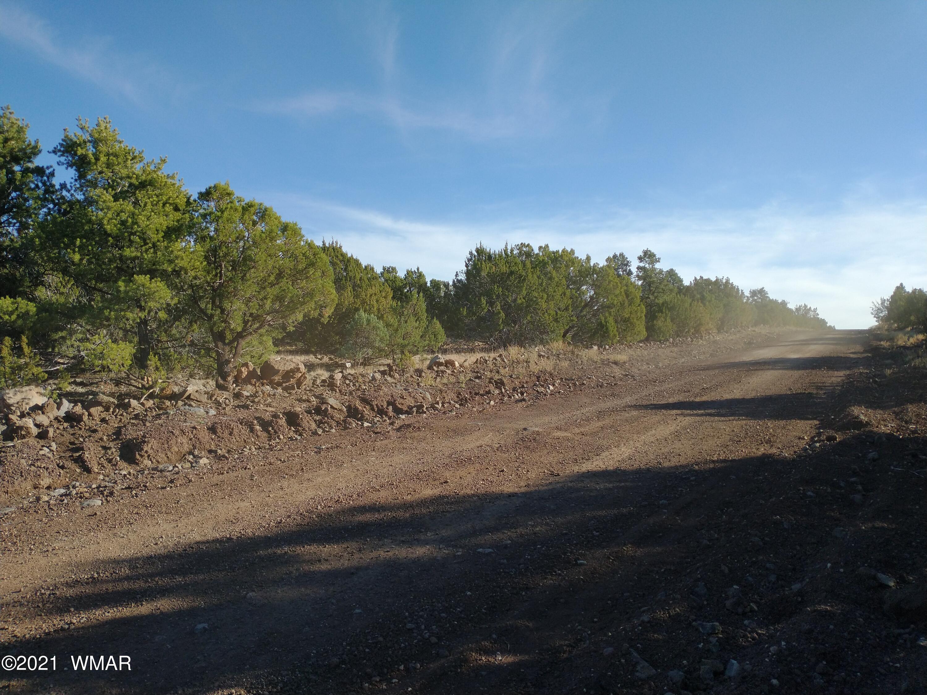 3145 Stray Horse Road Vernon, AZ 85940 - Photo 20 of 23