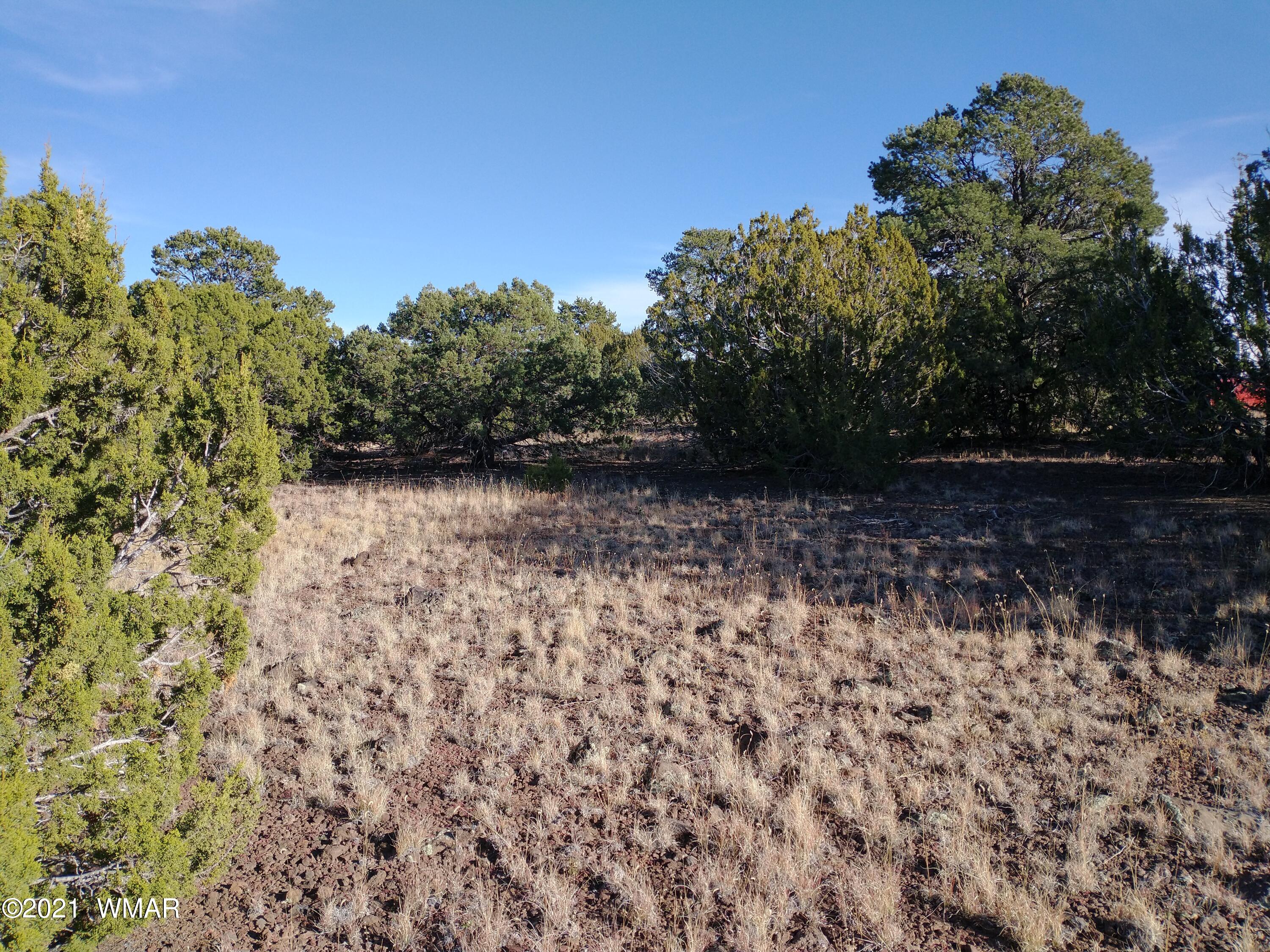 3145 Stray Horse Road Vernon, AZ 85940 - Photo 2 of 23