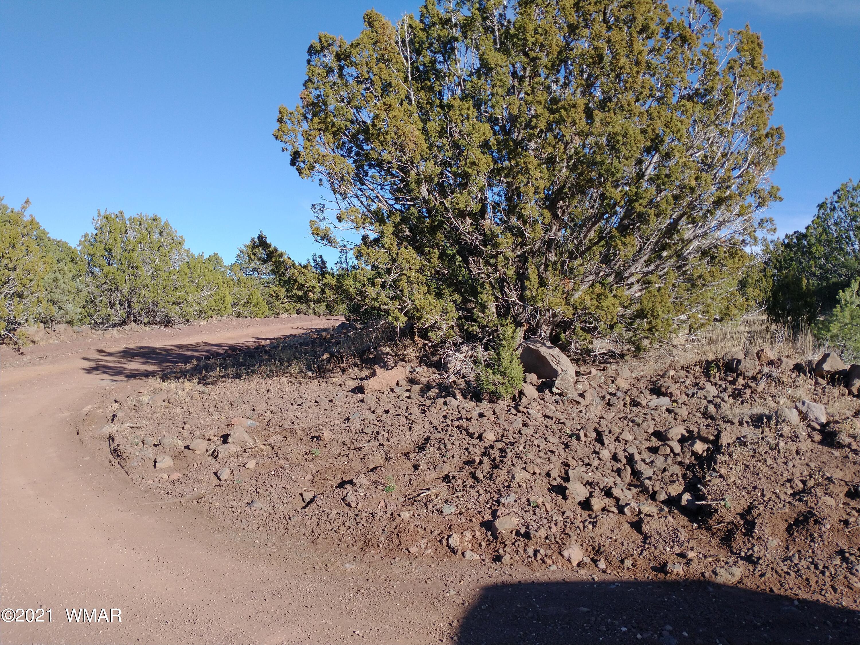 3145 Stray Horse Road Vernon, AZ 85940 - Photo 21 of 23