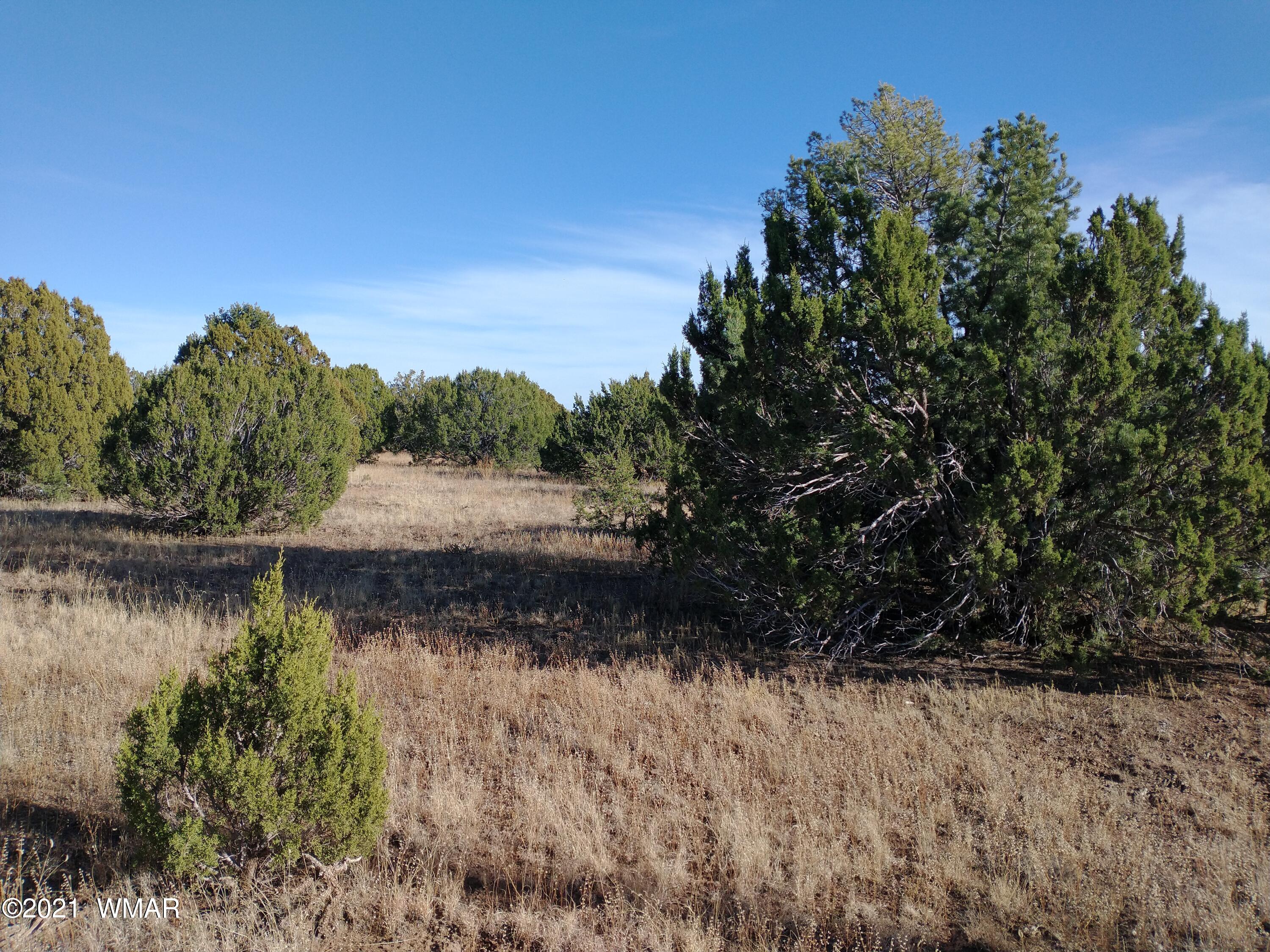 3145 Stray Horse Road Vernon, AZ 85940 - Photo 3 of 23