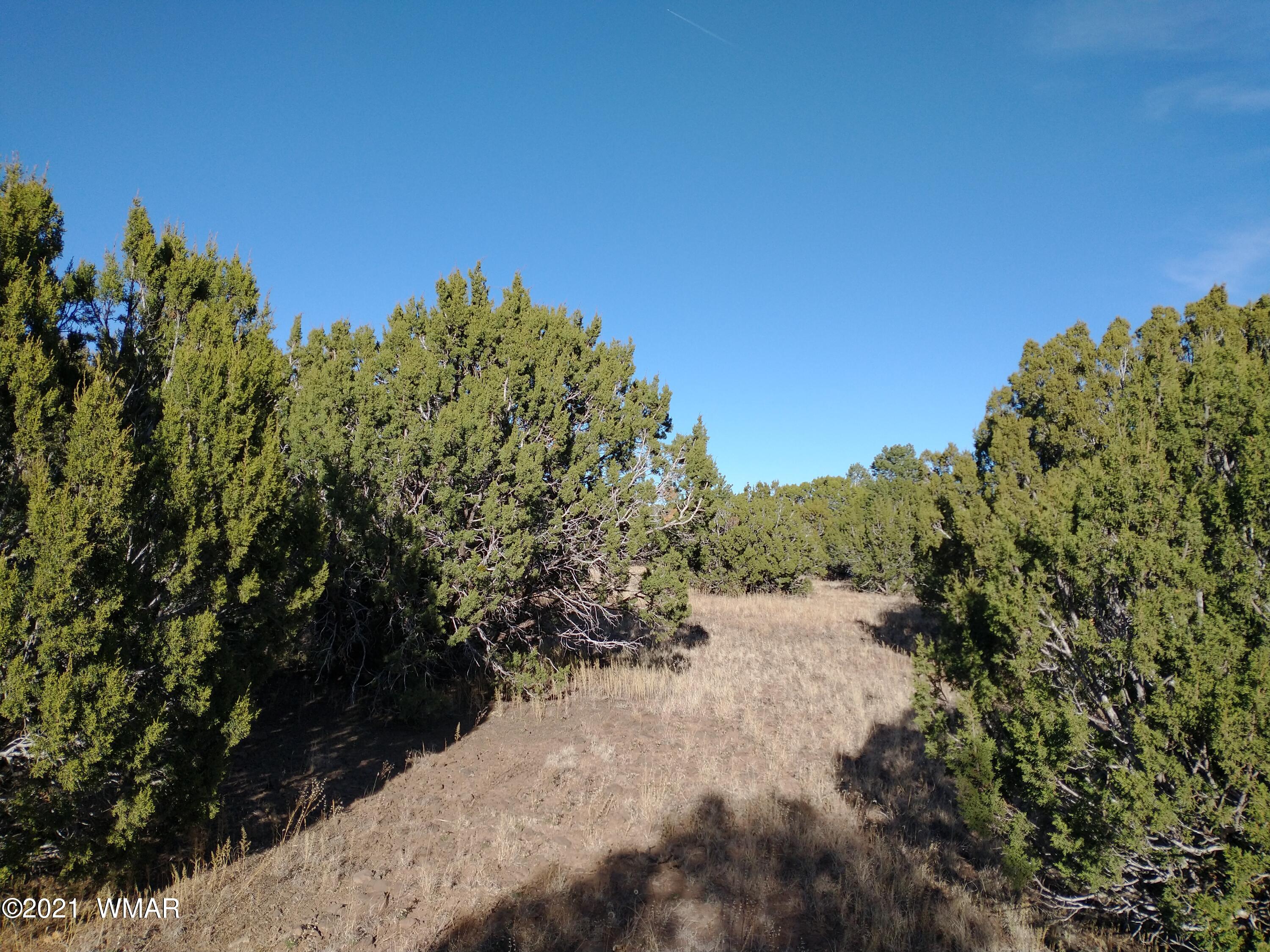 3145 Stray Horse Road Vernon, AZ 85940 - Photo 4 of 23
