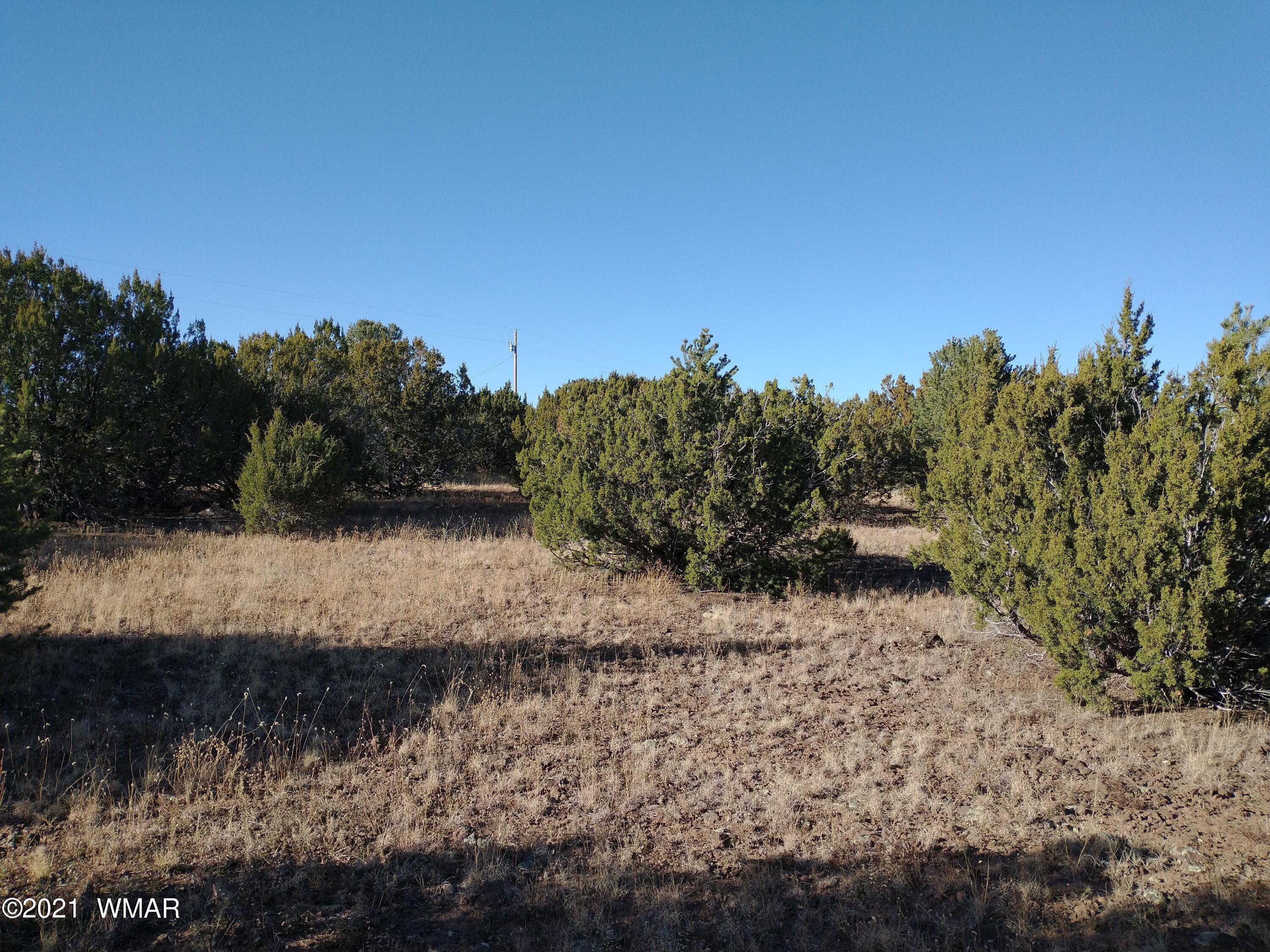 3145 Stray Horse Road Vernon, AZ 85940 - Photo 5 of 23