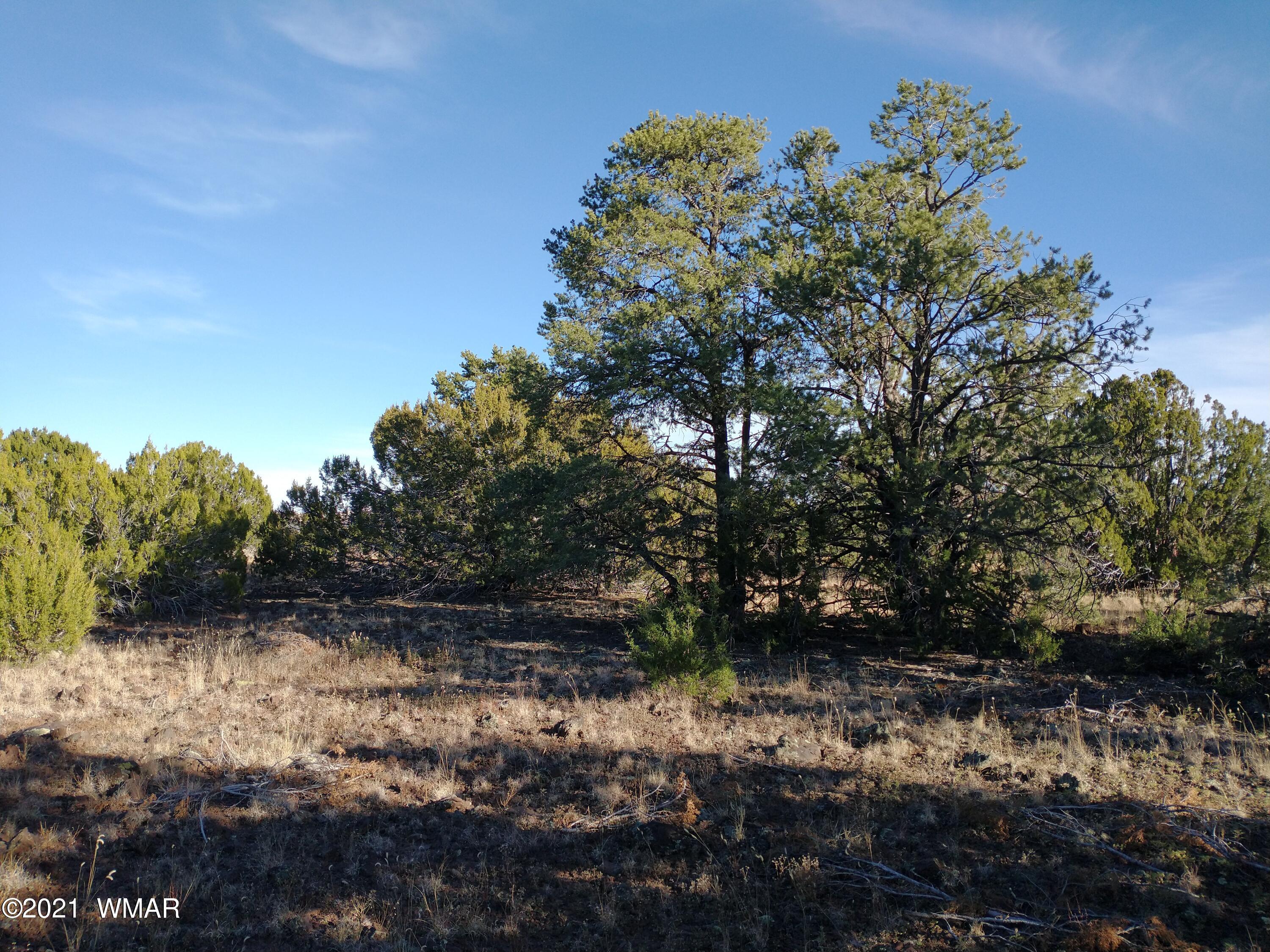 3145 Stray Horse Road Vernon, AZ 85940 - Photo 6 of 23