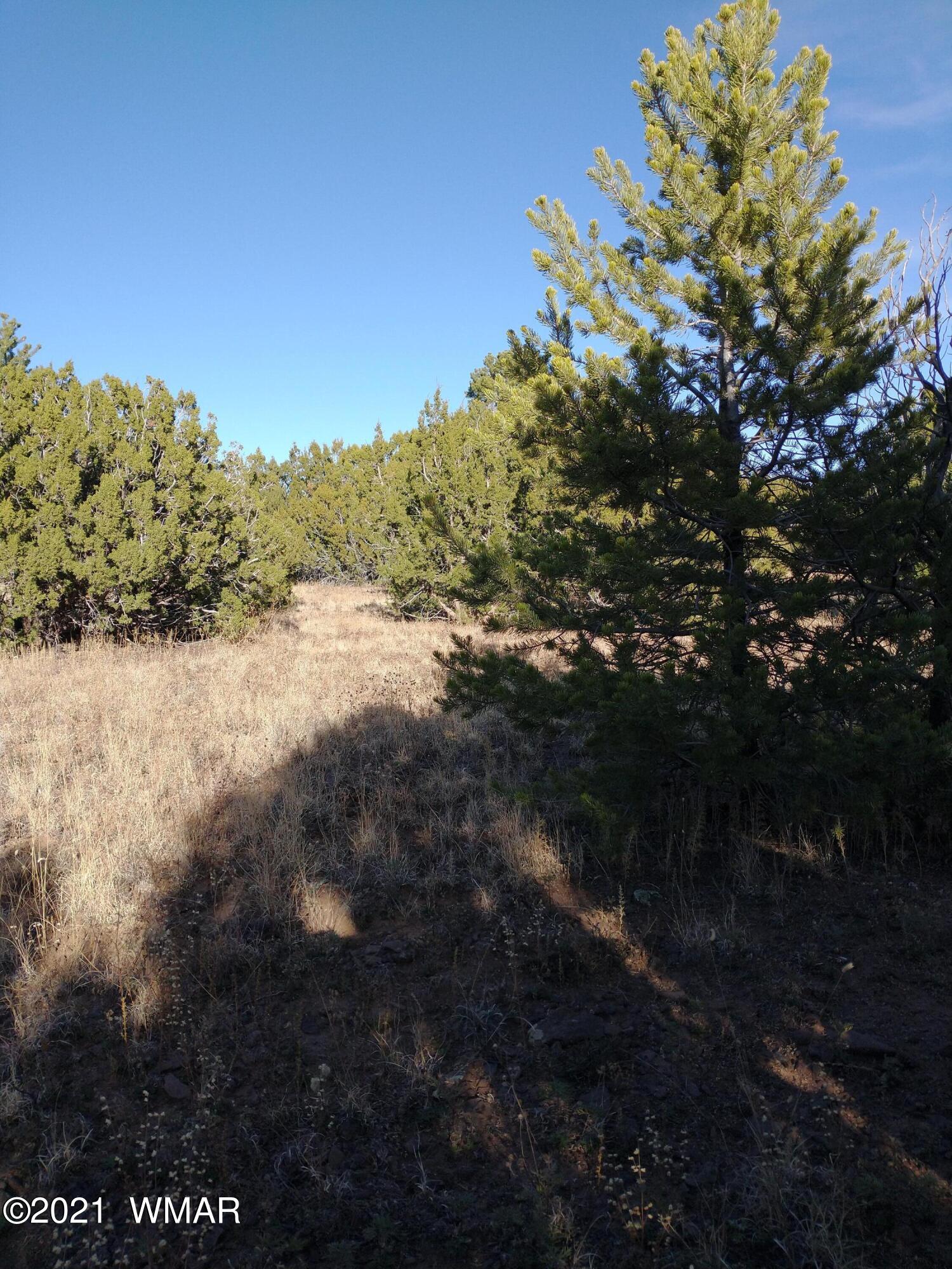 3145 Stray Horse Road Vernon, AZ 85940 - Photo 7 of 23
