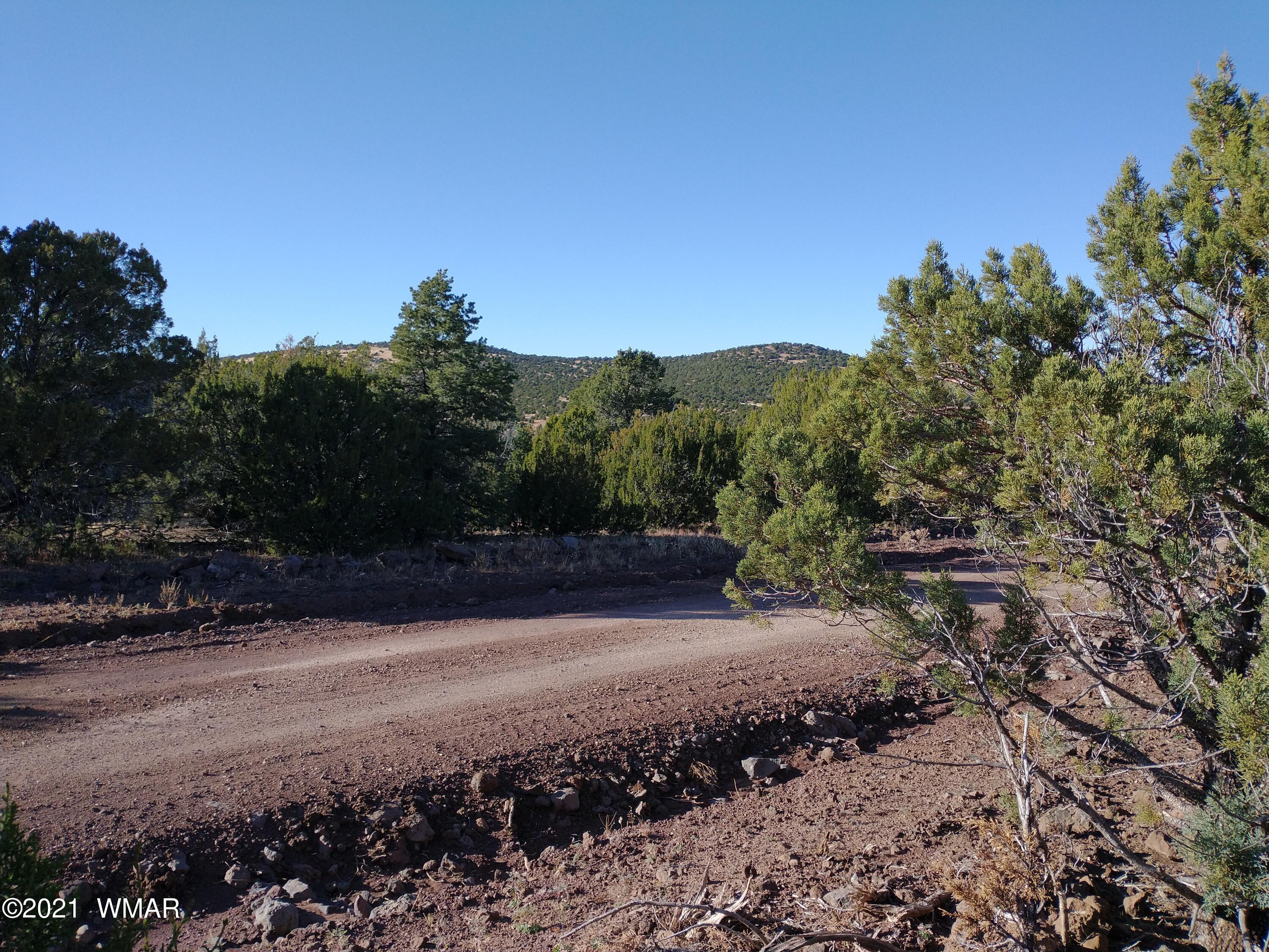 3145 Stray Horse Road Vernon, AZ 85940 - Photo 9 of 23