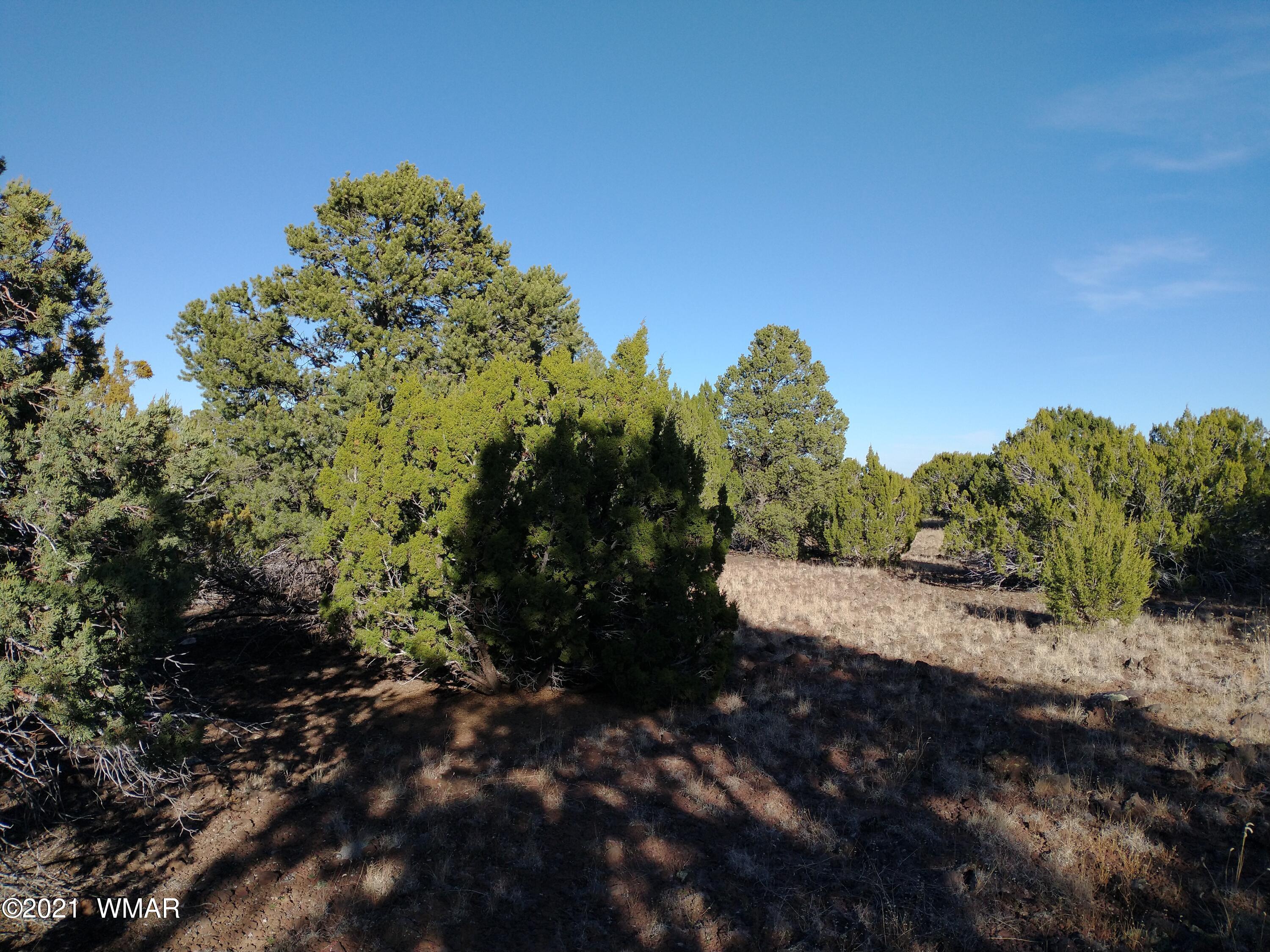 3145 Stray Horse Road Vernon, AZ 85940 - Photo 10 of 23