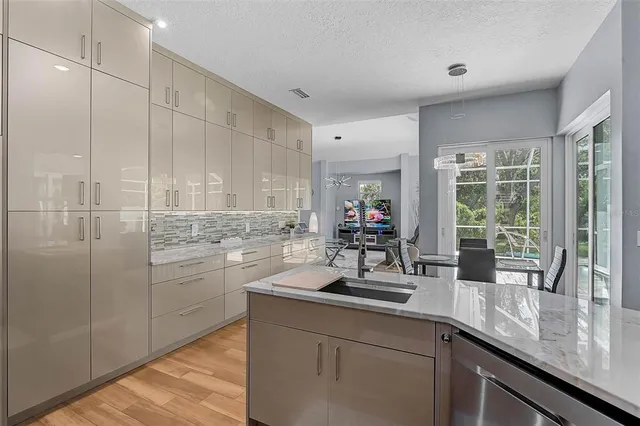 a kitchen with sink cabinets and potted plant