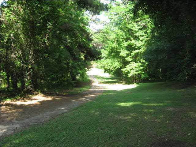 1994 Cedar Tree Lane Edwards, MS 39066 - Photo 26 of 28 NICE DRIVEWAY TO HOME