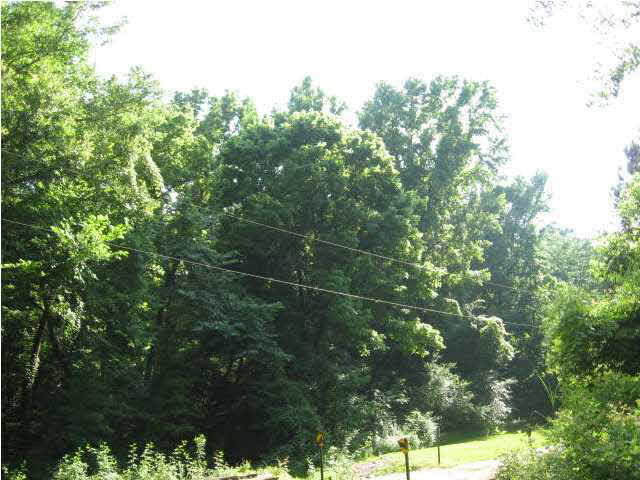 1994 Cedar Tree Lane Edwards, MS 39066 - Photo 27 of 28 FOREST