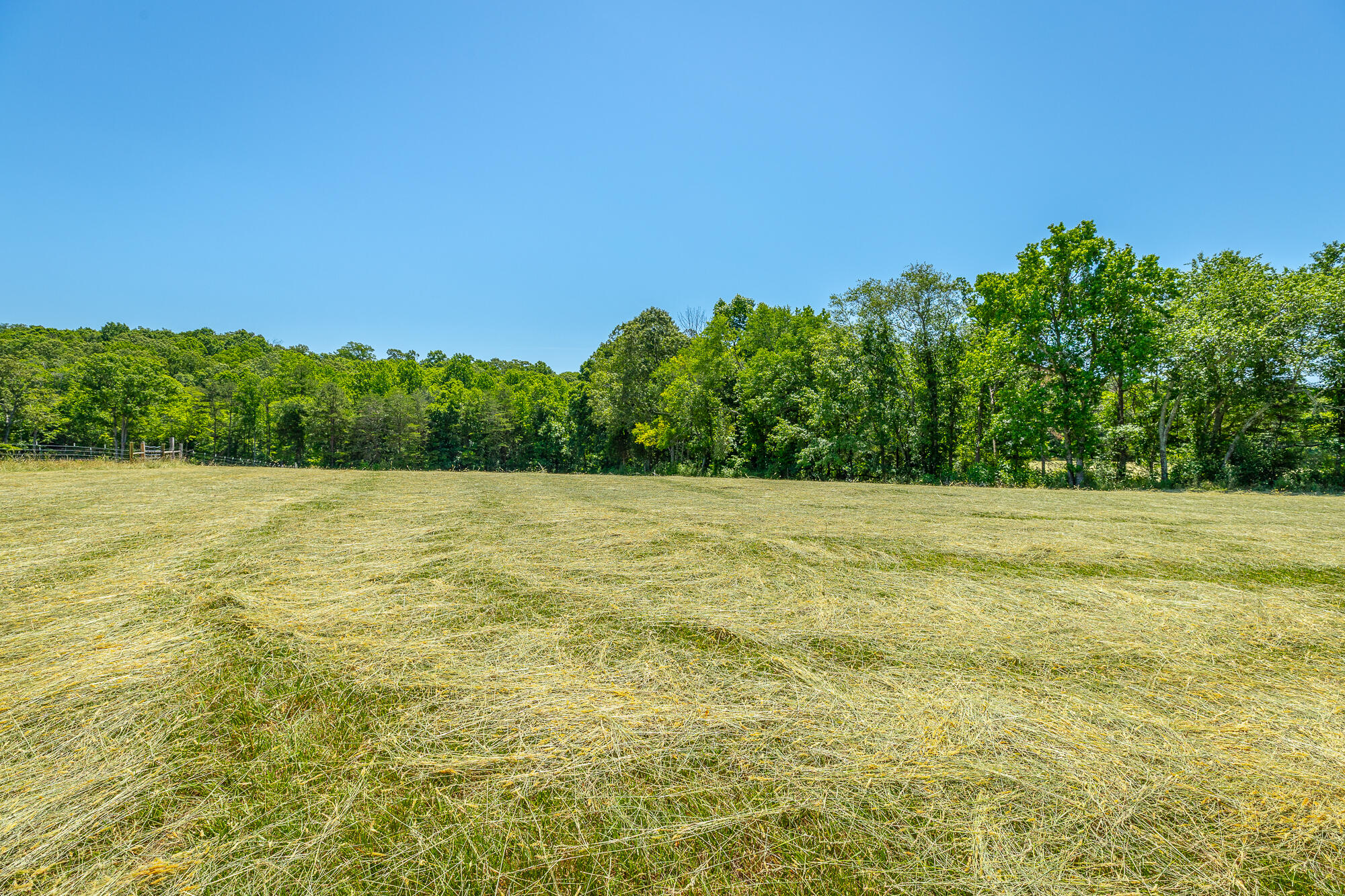 1655 West Cove Road Chickamauga, GA 30707 - Photo 12 of 62 1655 W Cove Road HD-62