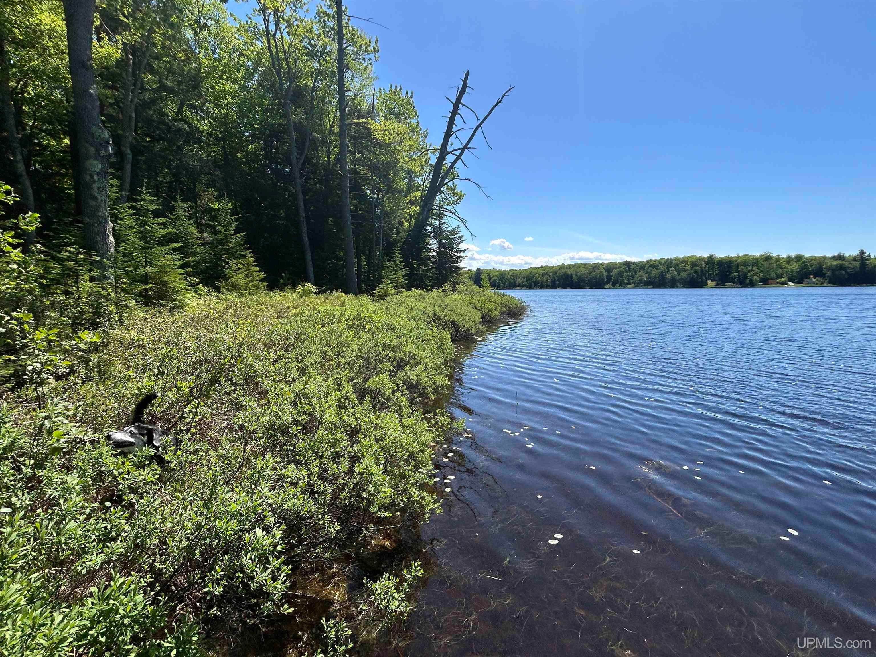 2025 Carpenter Lake Road Seney, MI 49883 - Photo 27 of 41 Gallery Image 27