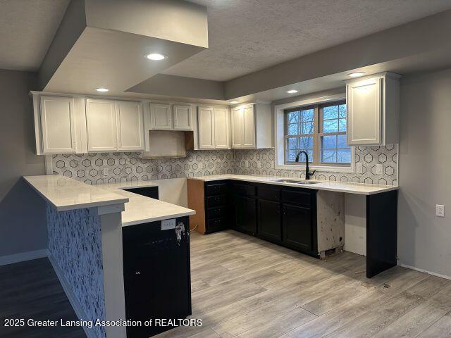 9828 Pheasant Ridge Drive Portland, MI 48875 - Photo 17 of 37 IMG_7609