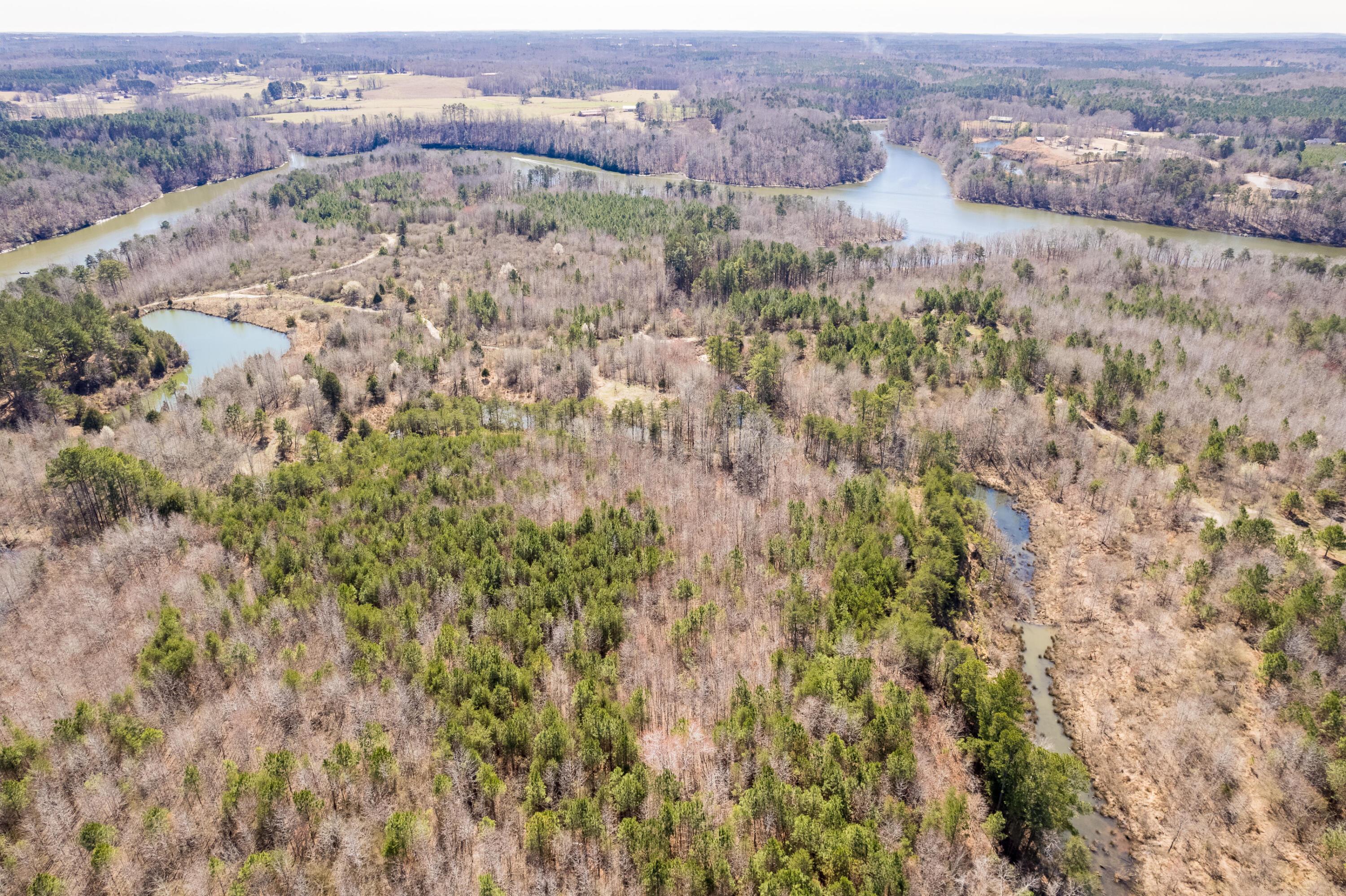 0 Dime Road Phil Campbell, AL 35581 - Photo 8 of 18 Aerial