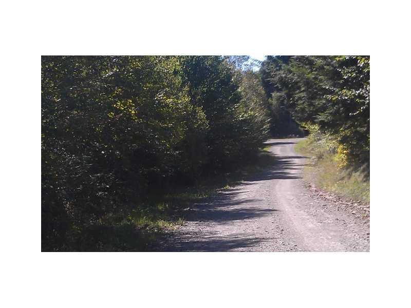 Lot # Pratt Cove Road Island Falls, ME 04747 - Photo 3 of 6 Land/Lot.