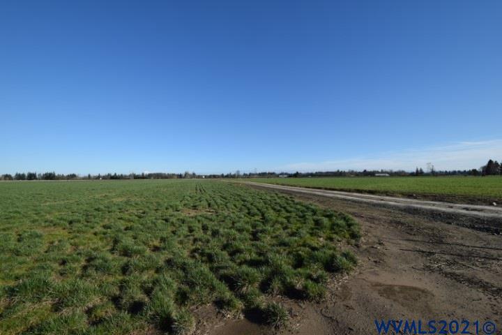 22506 Bents Road Northeast Aurora, OR 97002 - Photo 18 of 33